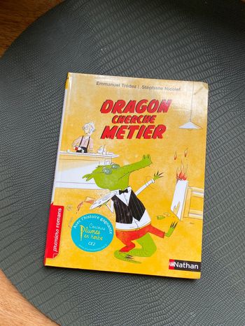 Dragon cherche métier Nathan