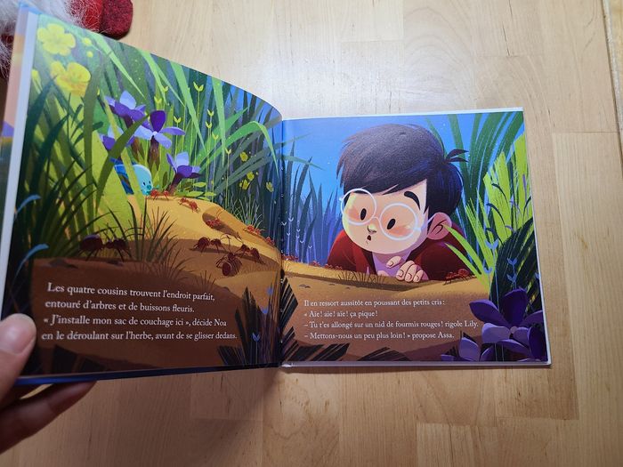 Le pic du midi d'Ossau - photo numéro 5