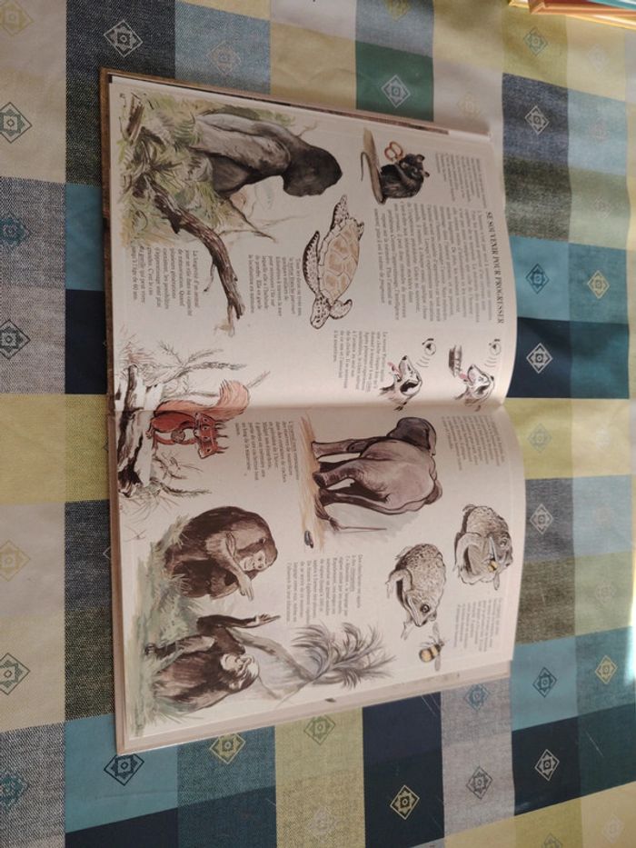 Livre sur l'éléphant - photo numéro 11