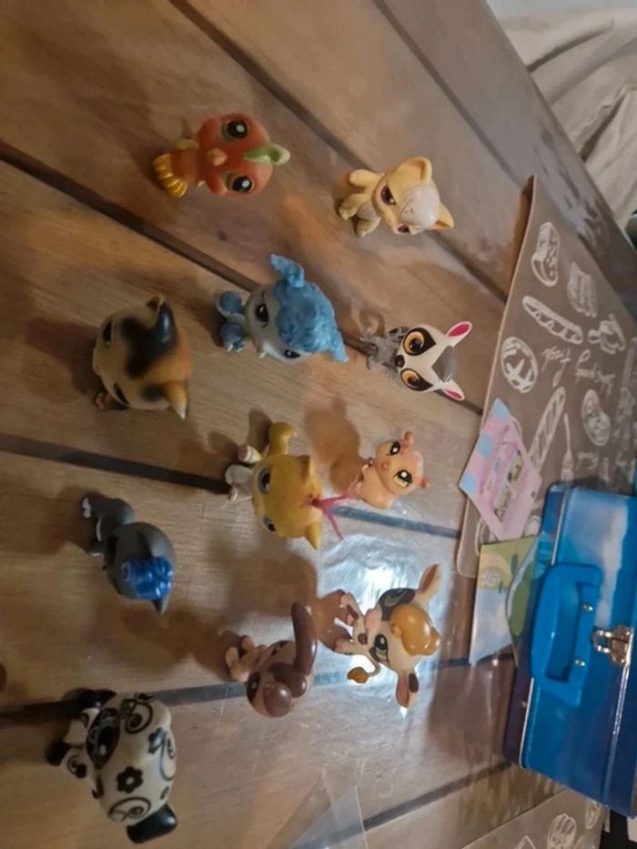 Lot petshop - photo numéro 9