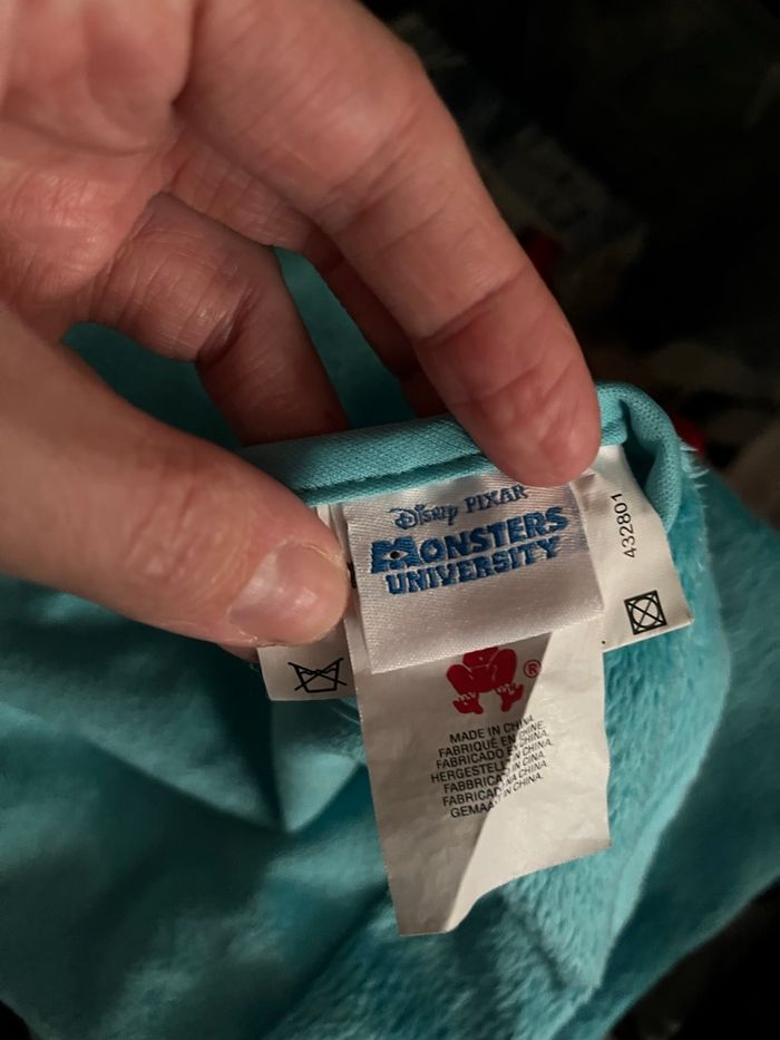 Costume de Sully - photo numéro 5