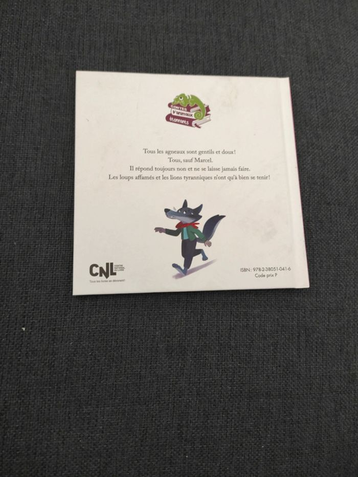 l'agneau qui avait mauvais caractère - photo numéro 2