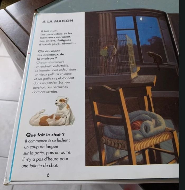 Questions réponses Mes animaux du monde - photo numéro 3