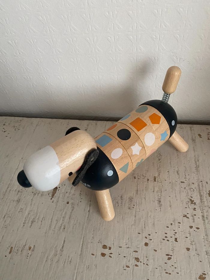 Chien Janod - photo numéro 3