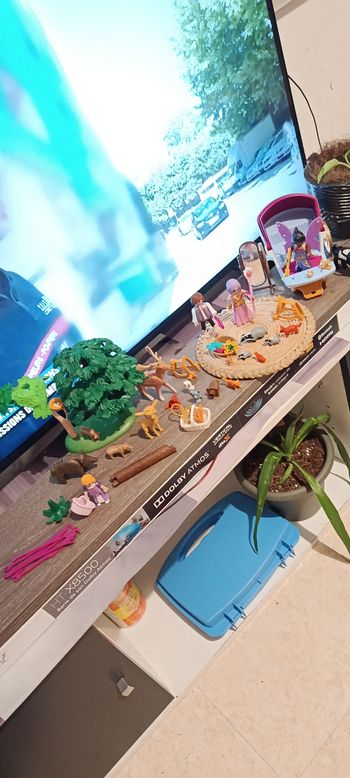 Playmobil animaux féeriques 💐