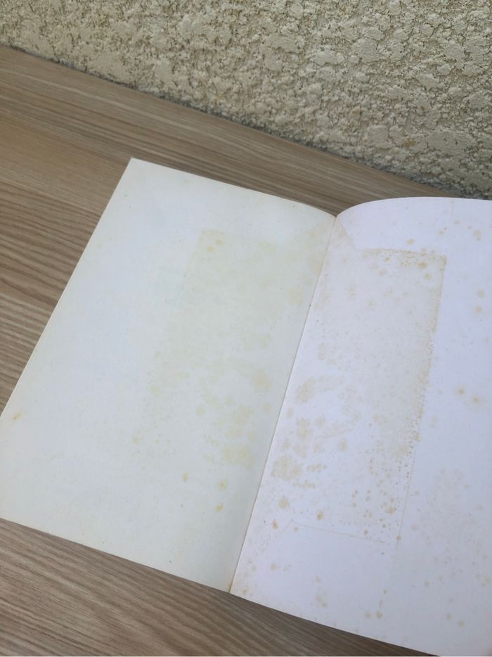 Les âmes vagabondes de Stéphanie Meyer - photo numéro 7