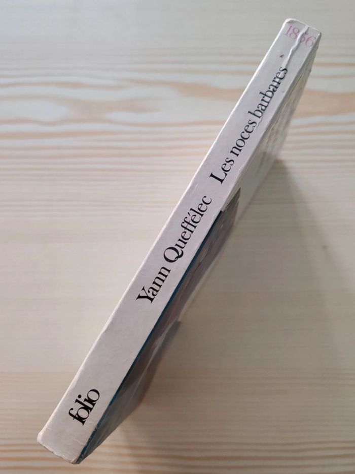 Yann Queffélec 🌸 Les noces barbares - photo numéro 3