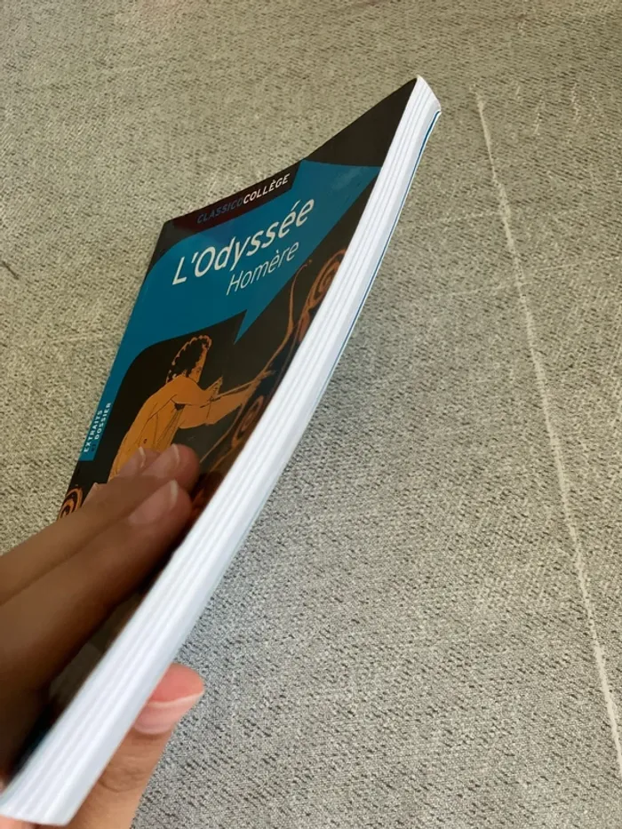 L’Odyssée – Homère – Classico Collège - photo numéro 2