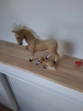 Cheval et son poulain