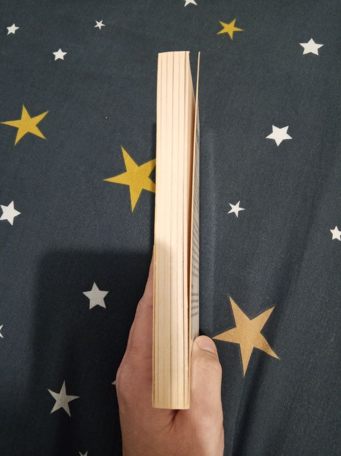 Livre (106) 📚 Fonelle est amoureuse - photo numéro 4