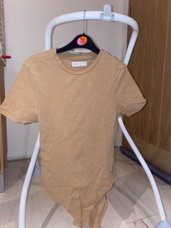 Teeshirt body