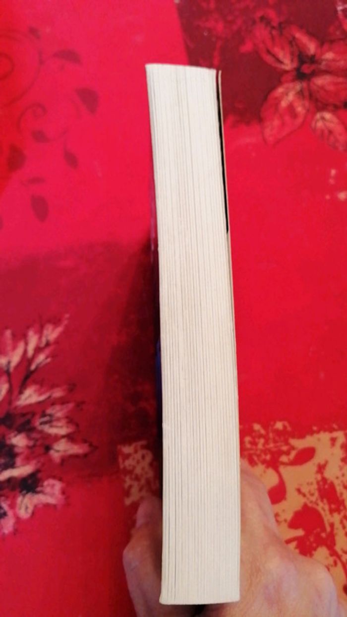 Le meilleur de nos fils - photo numéro 4