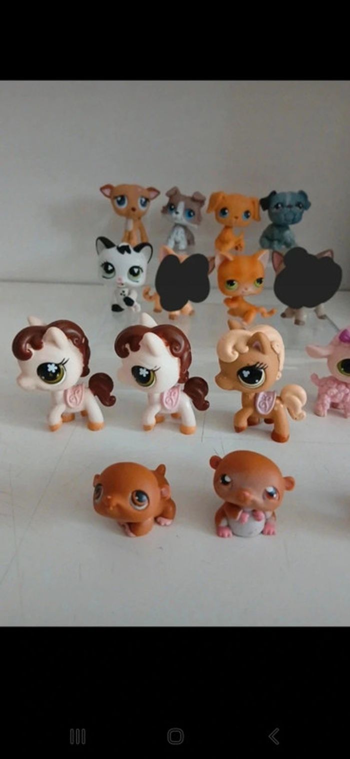 Littest petshop - photo numéro 3