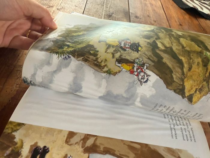 Moyen 2 - Livre édition limitée reliure rouge Caroline dans les Alpages Pierre Probst bd - photo numéro 11