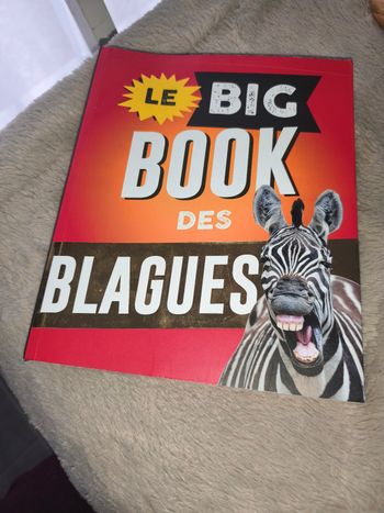 Le big book des blagues