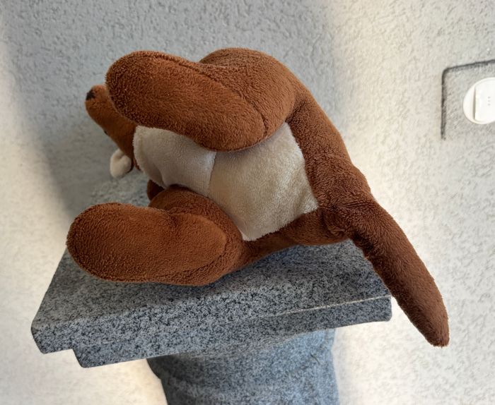 Kangourou avec bébé - photo numéro 7