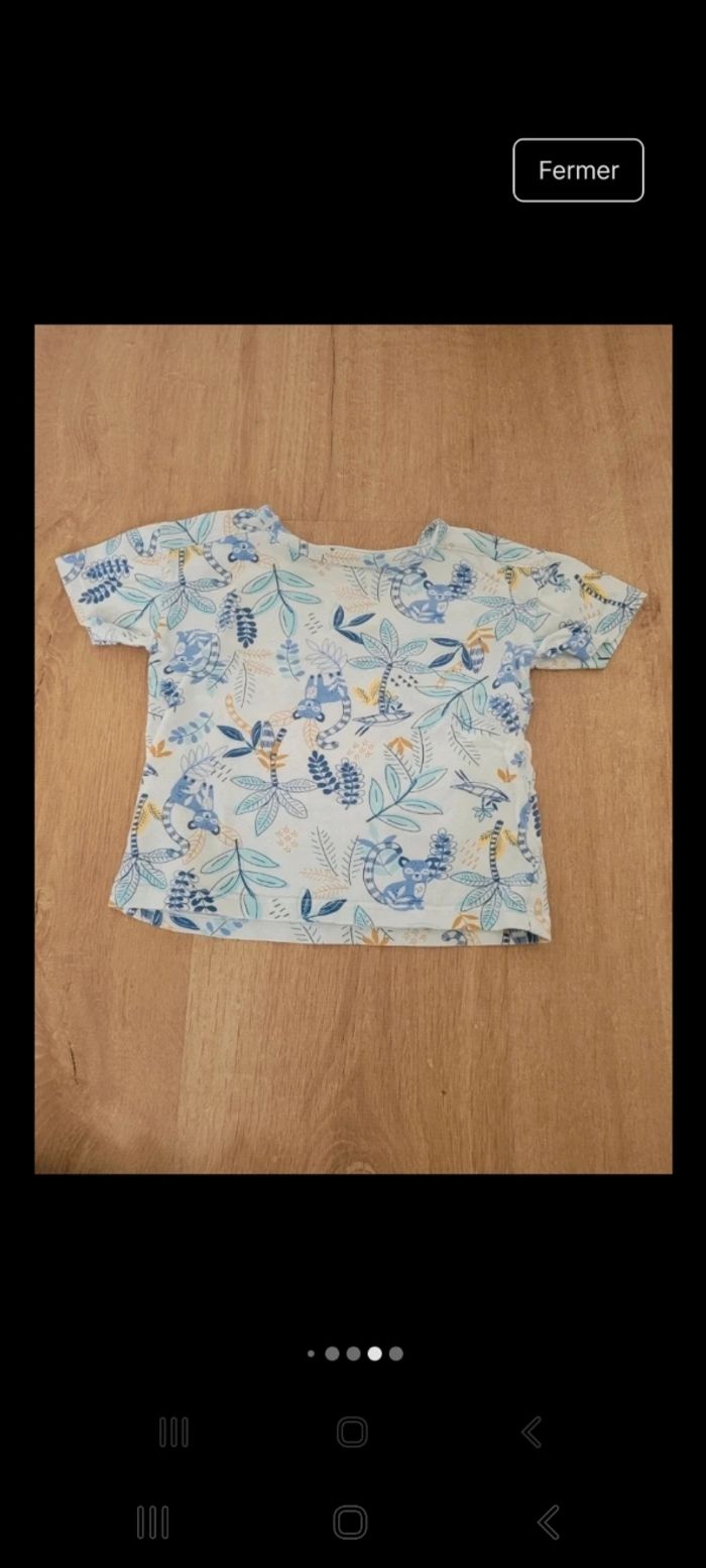 Tee-shirts manches courtes - photo numéro 5