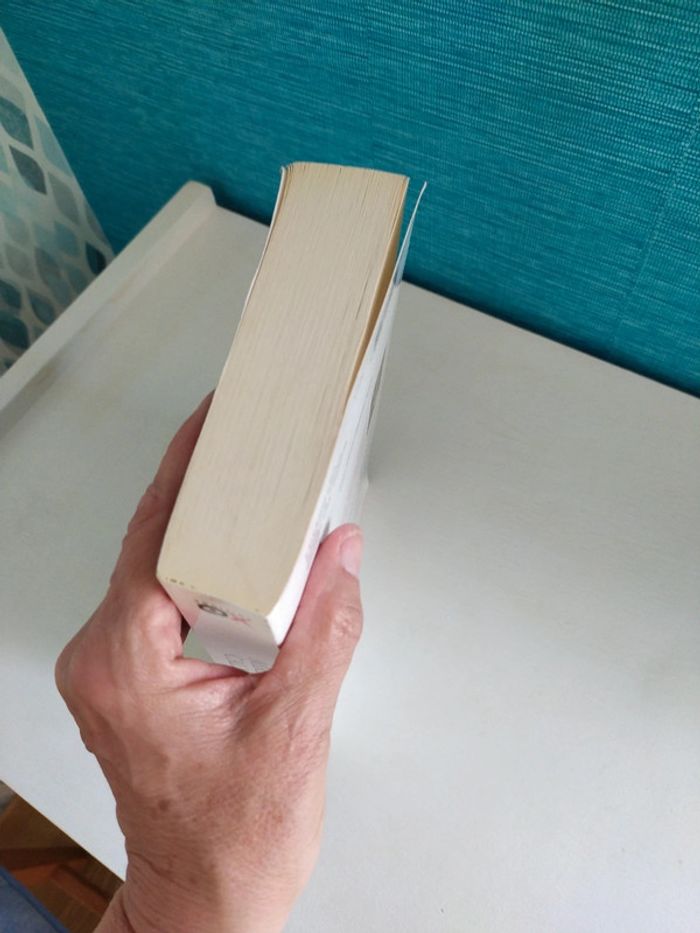 Aliénor de Mireille Calmel - photo numéro 6