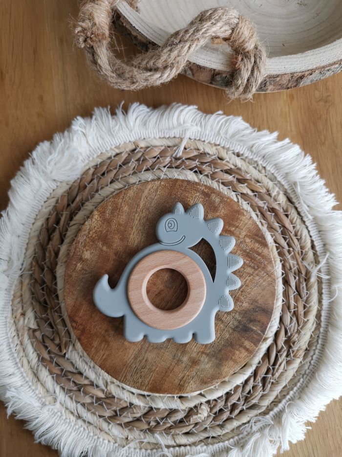 Anneau de dentition dinosaure - photo numéro 3