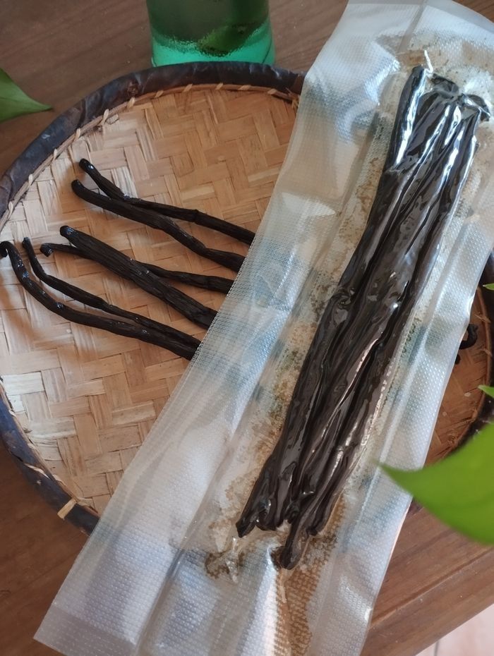 Vanille Madagascar - photo numéro 2