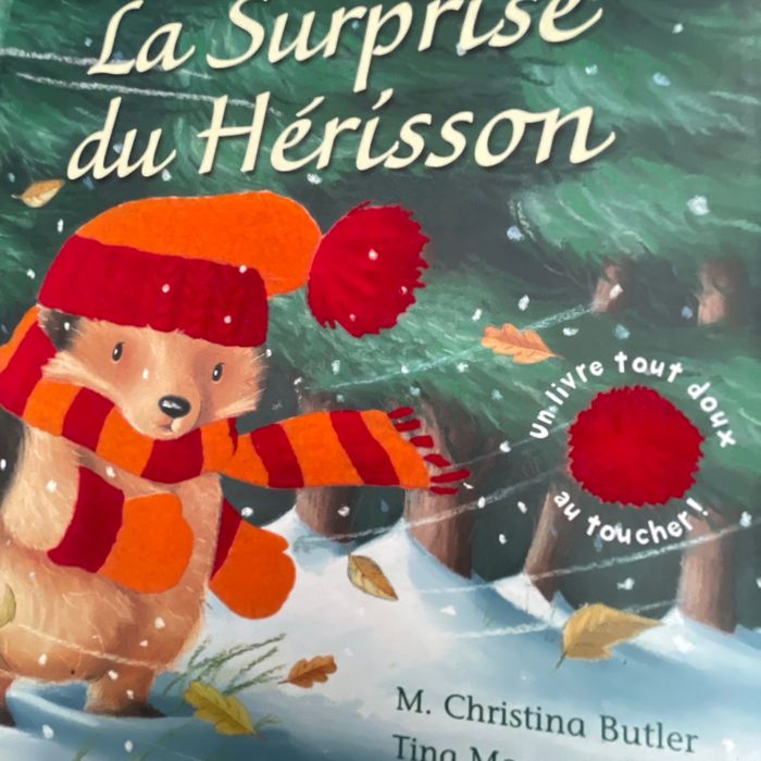 La surprise du Hérisson - photo numéro 6