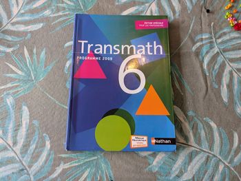 Manuel mathématiques 6e
