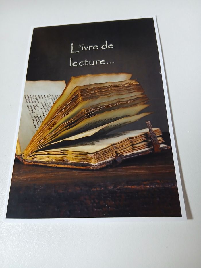 Lot livres Dictionnaire Farfelu - photo numéro 3