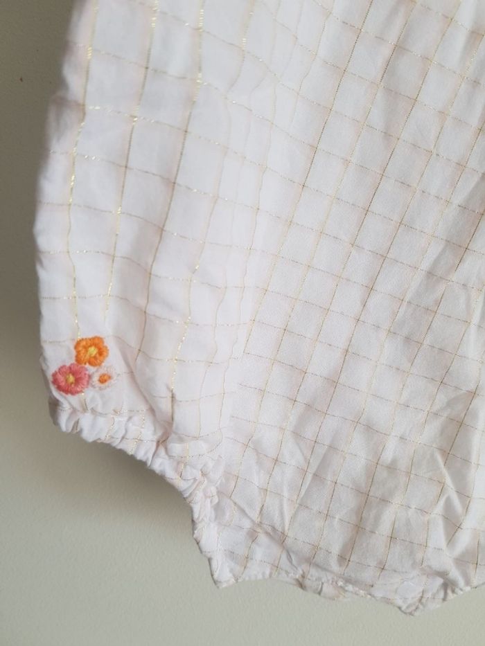 Barboteuse sergent major - photo numéro 3