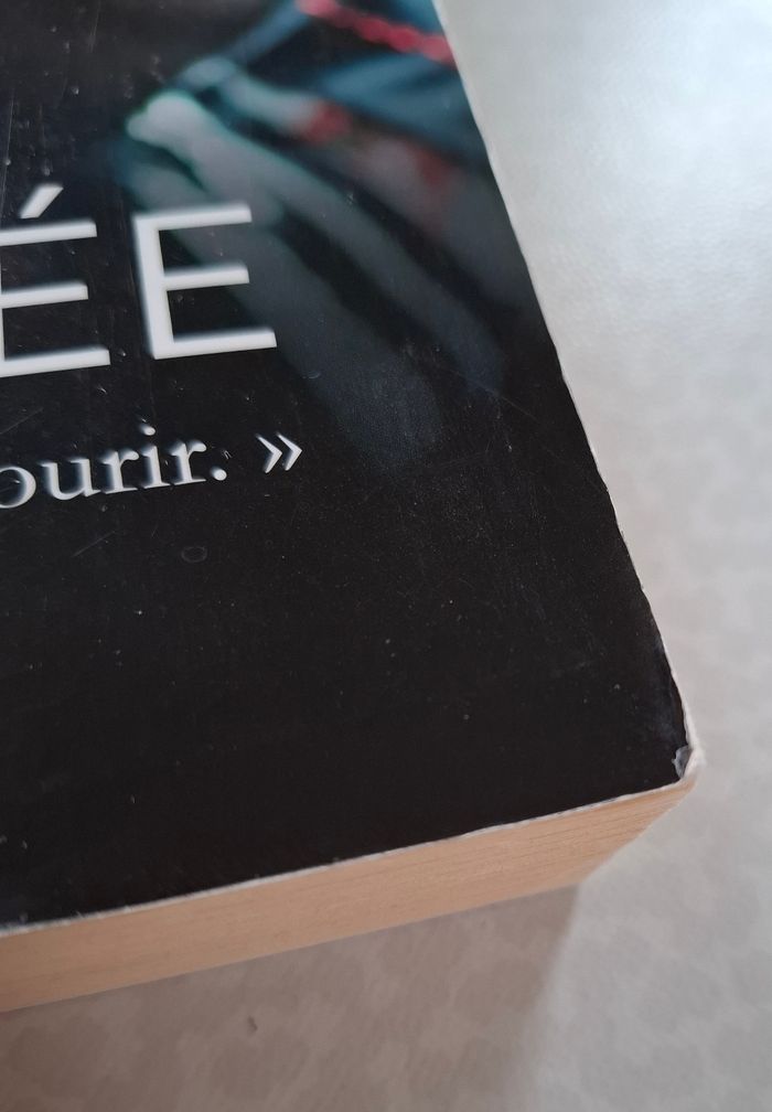 Livre - photo numéro 8