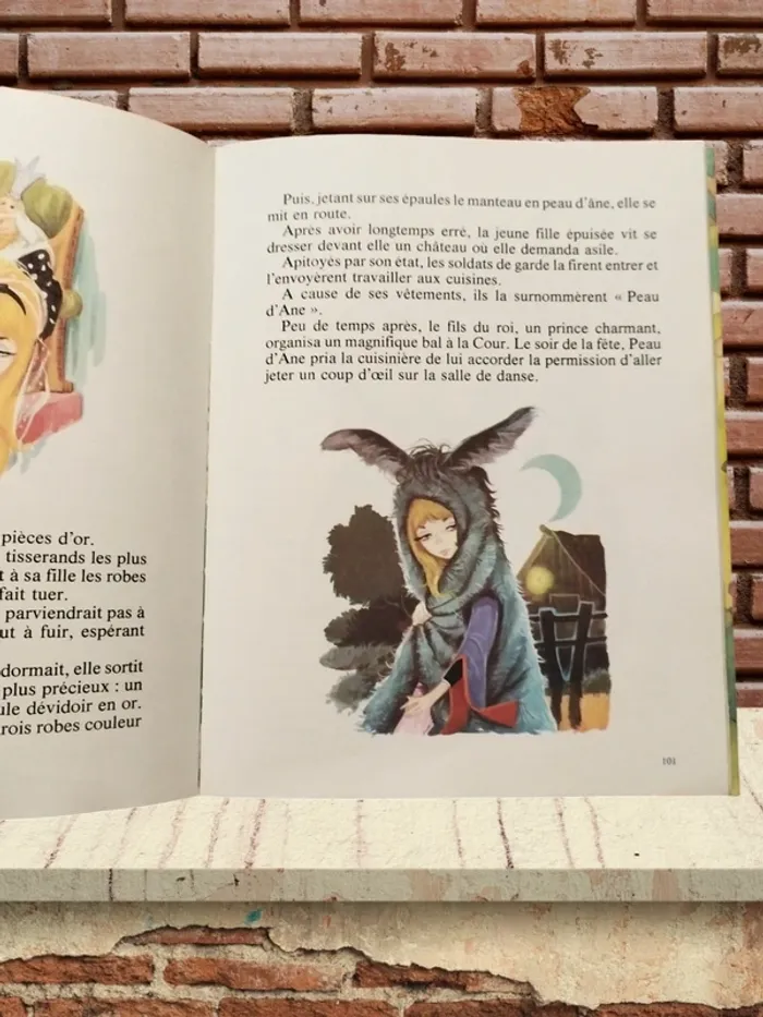 Livre - photo numéro 3