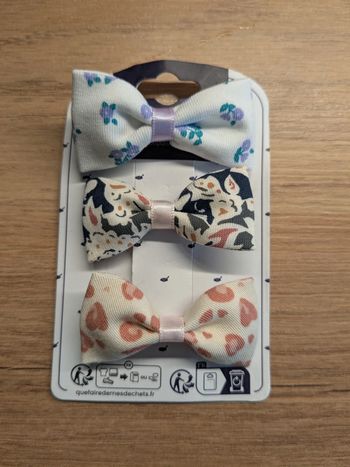 Barrette collection 2025