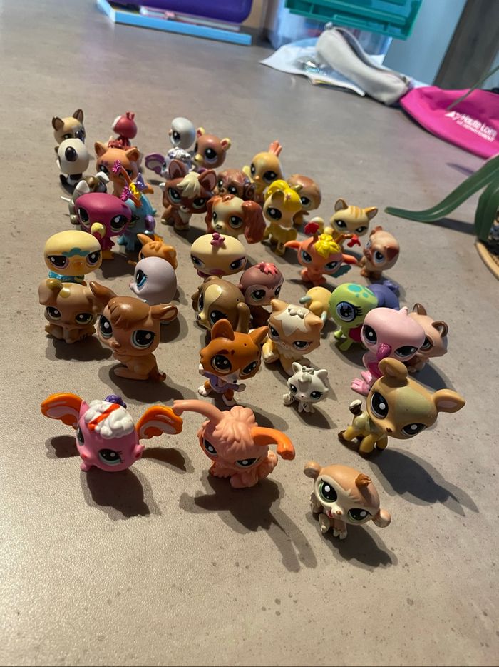 Lot de pet shop