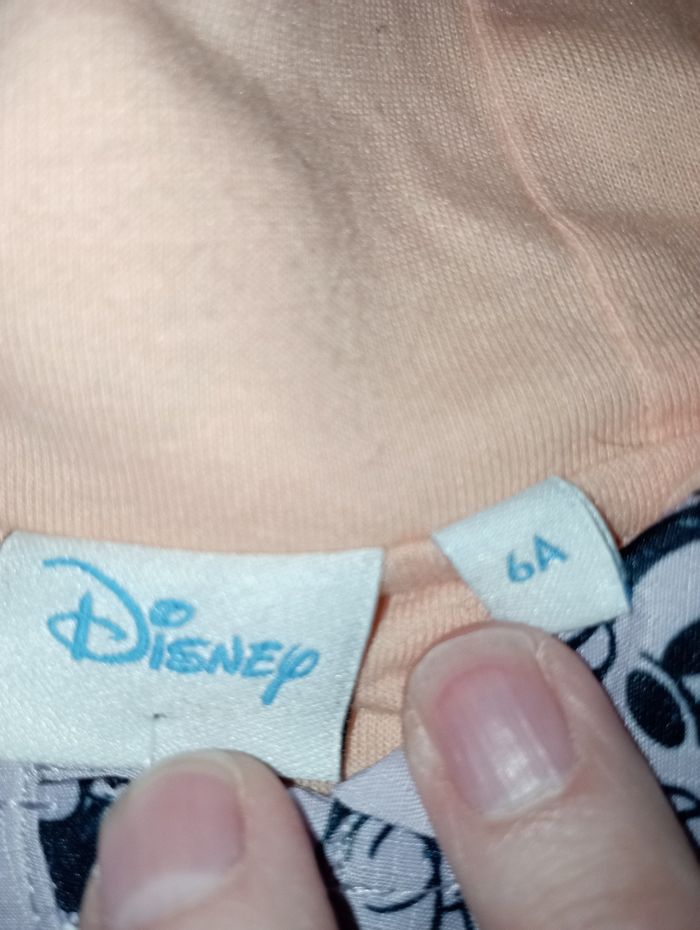 Coupe vent - photo numéro 3