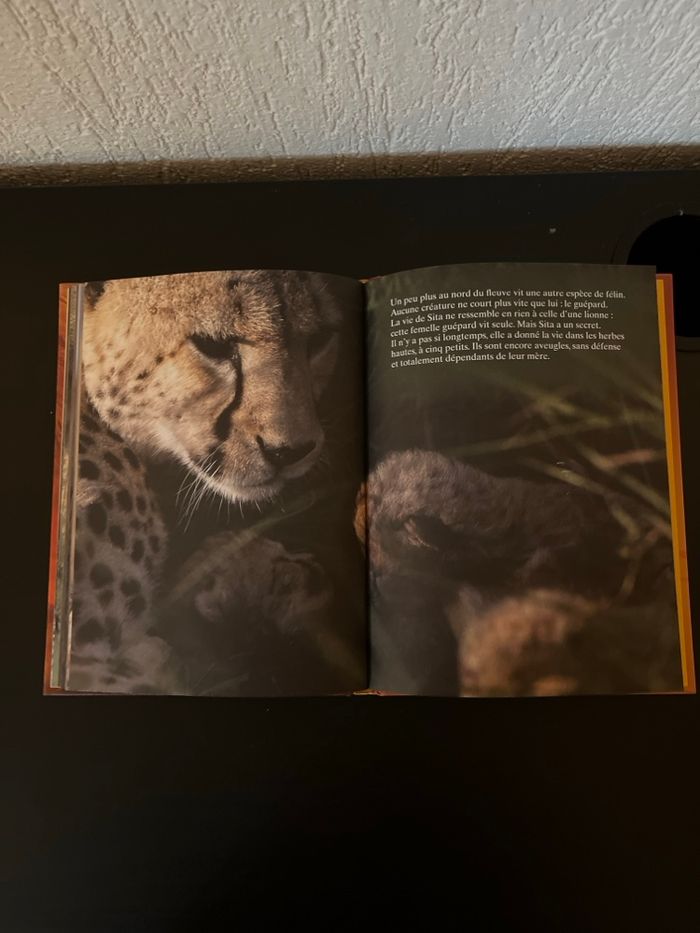 Livre Disneynature FÉLINS (neuf) - photo numéro 3