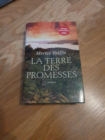 Roman la terre des promesses