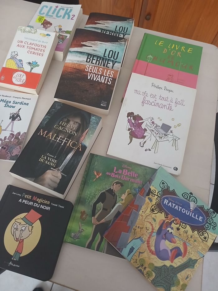 Lot livres - photo numéro 3