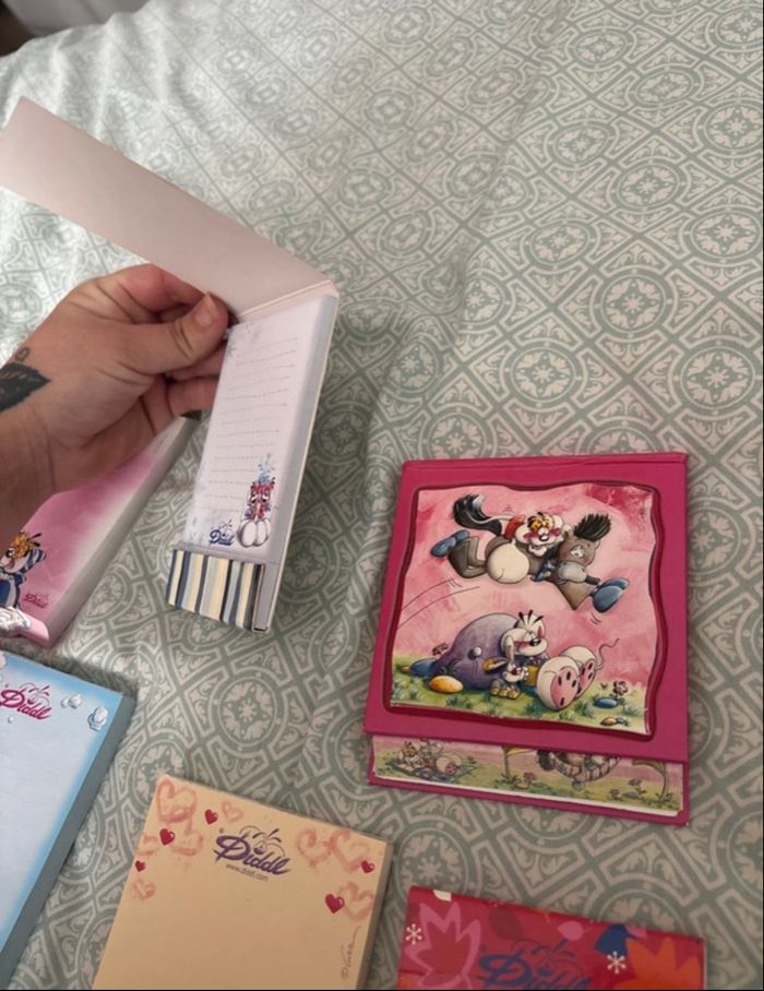 Lot de 9 blocs diddl - photo numéro 9