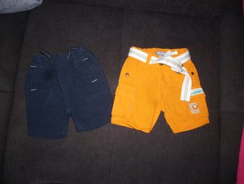 lot  2 shorts