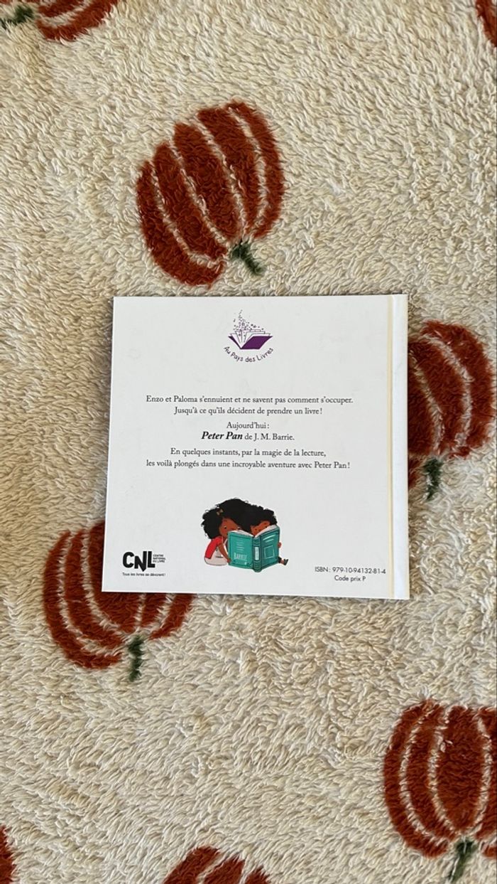 💜 livre une aventure avec Peter pan 💜 - photo numéro 2