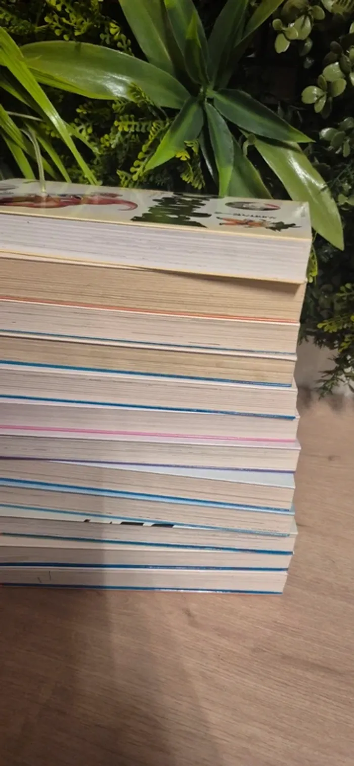 Livre dragon ball - photo numéro 8
