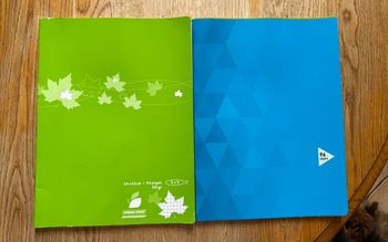 2 cahiers 24x32 96 pages petits carreaux et grands carreaux