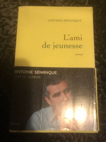 L’ami de jeunesse - Antoine Sénanque