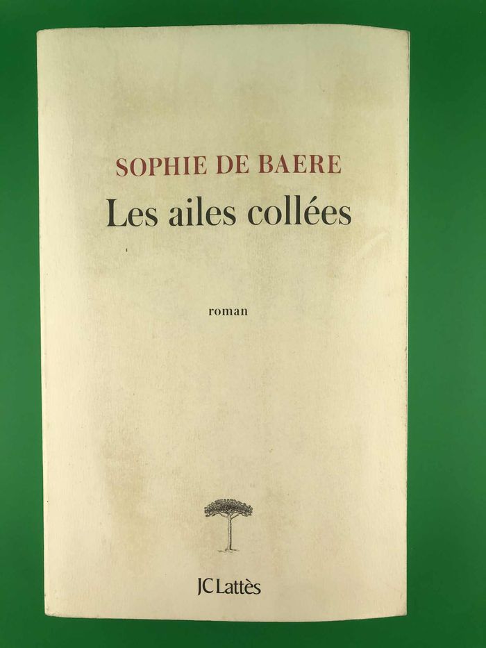 Les ailes collées - Sophie de Baere