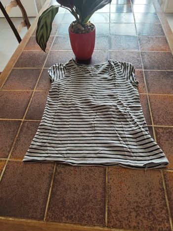 Tee shirt manches courtes