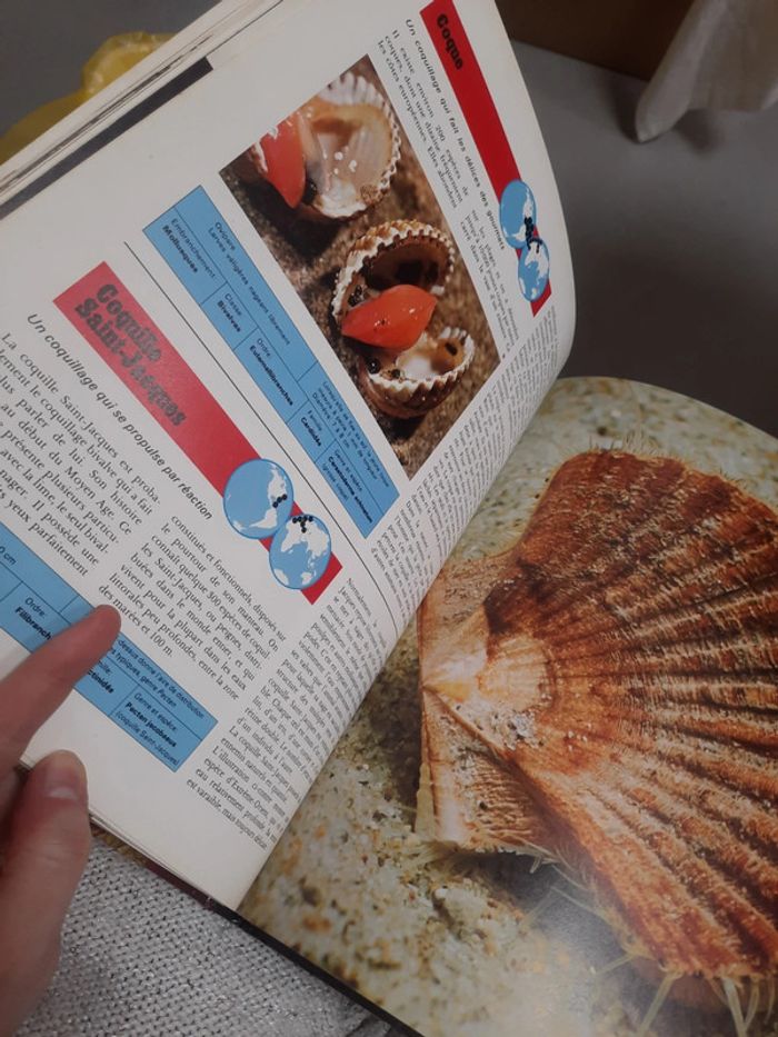 Grand livre illustré édition de lagora - photo numéro 11