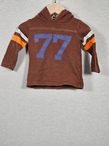 Pull à capuche Tex  9 mois 