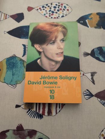 David Bowie musique et cie