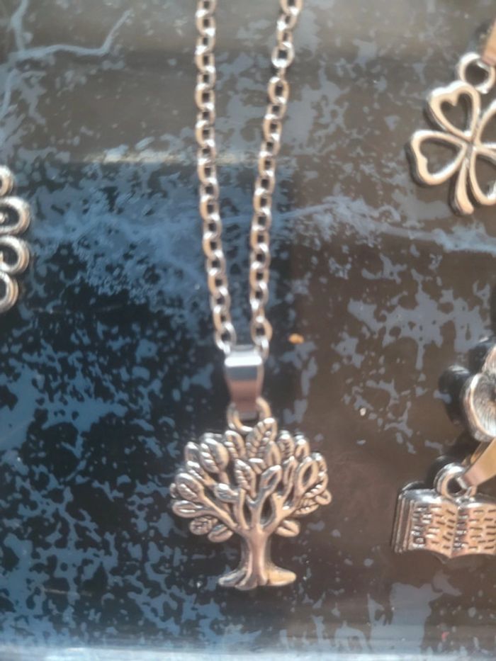 Chaine en acier inoxydable avec son pendentif - photo numéro 2