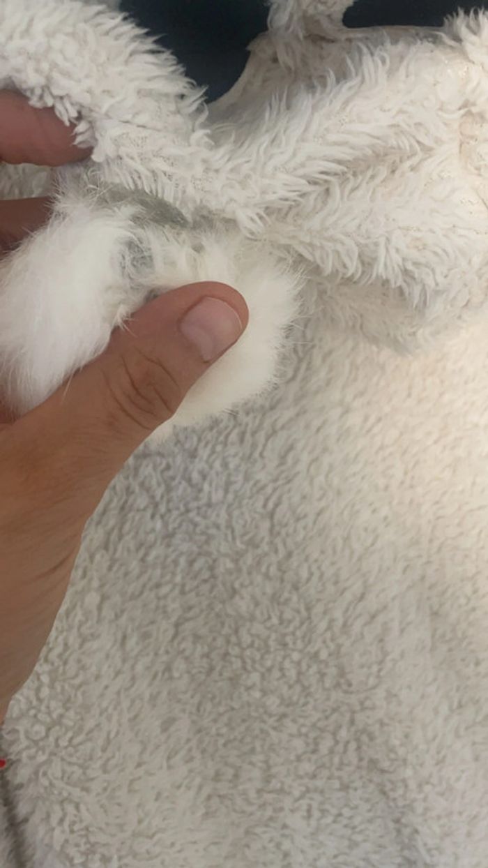 Gilet Be Gummy crème à capuche - photo numéro 7