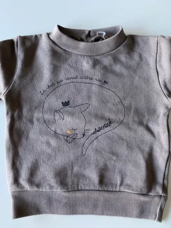 Sweat gris petit chat Émile et Ida